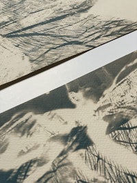 a pair of black and white prints with trees on them