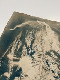 a piece of paper with a picture of a tree on it